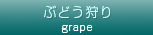 ぶどう狩り