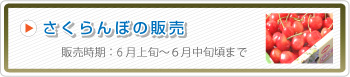 通常栽培さくらんぼの販売