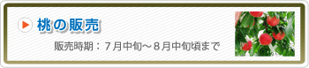 桃の販売