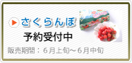 さくらんぼ予約受付中